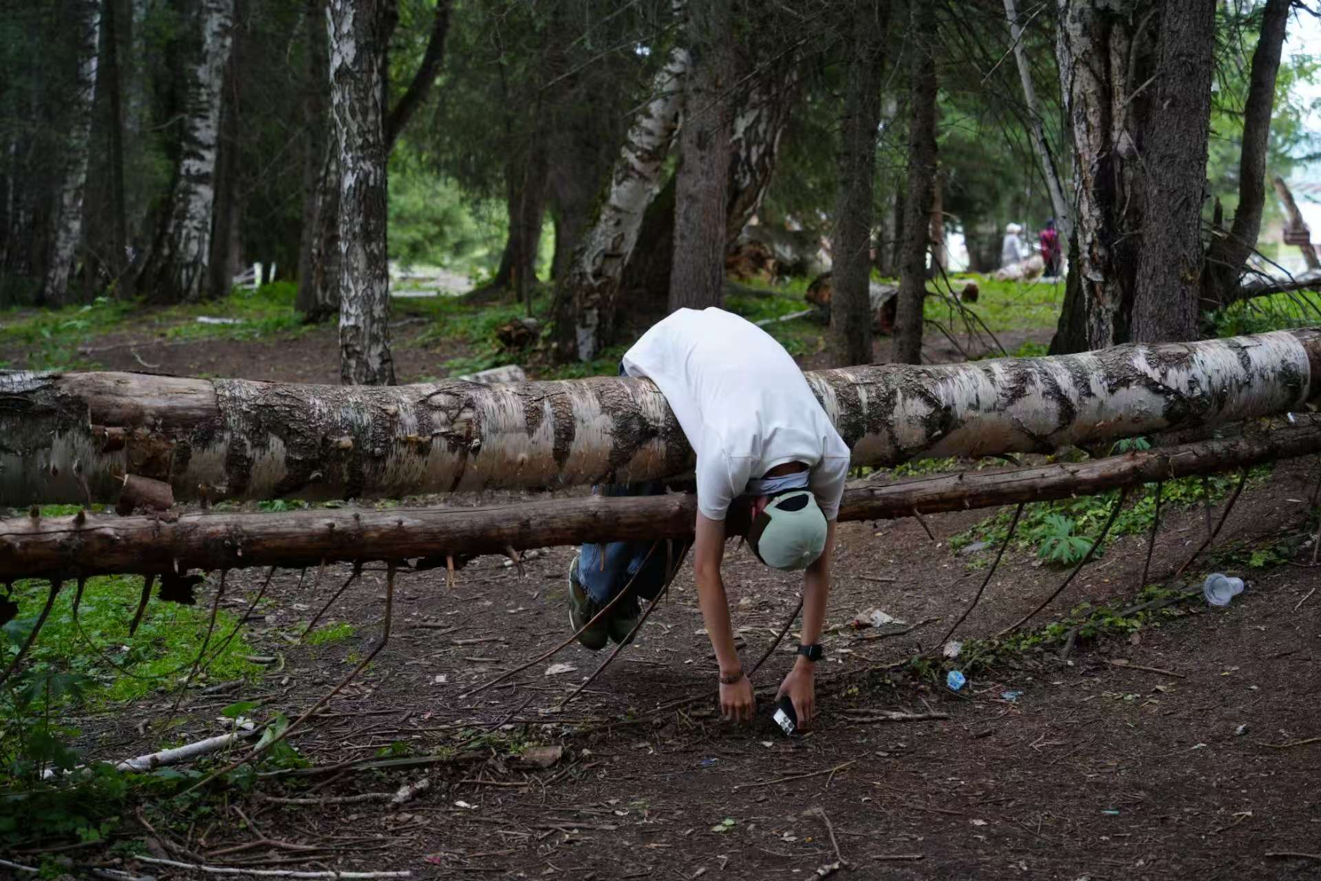 Copyright © 2025 暴雨