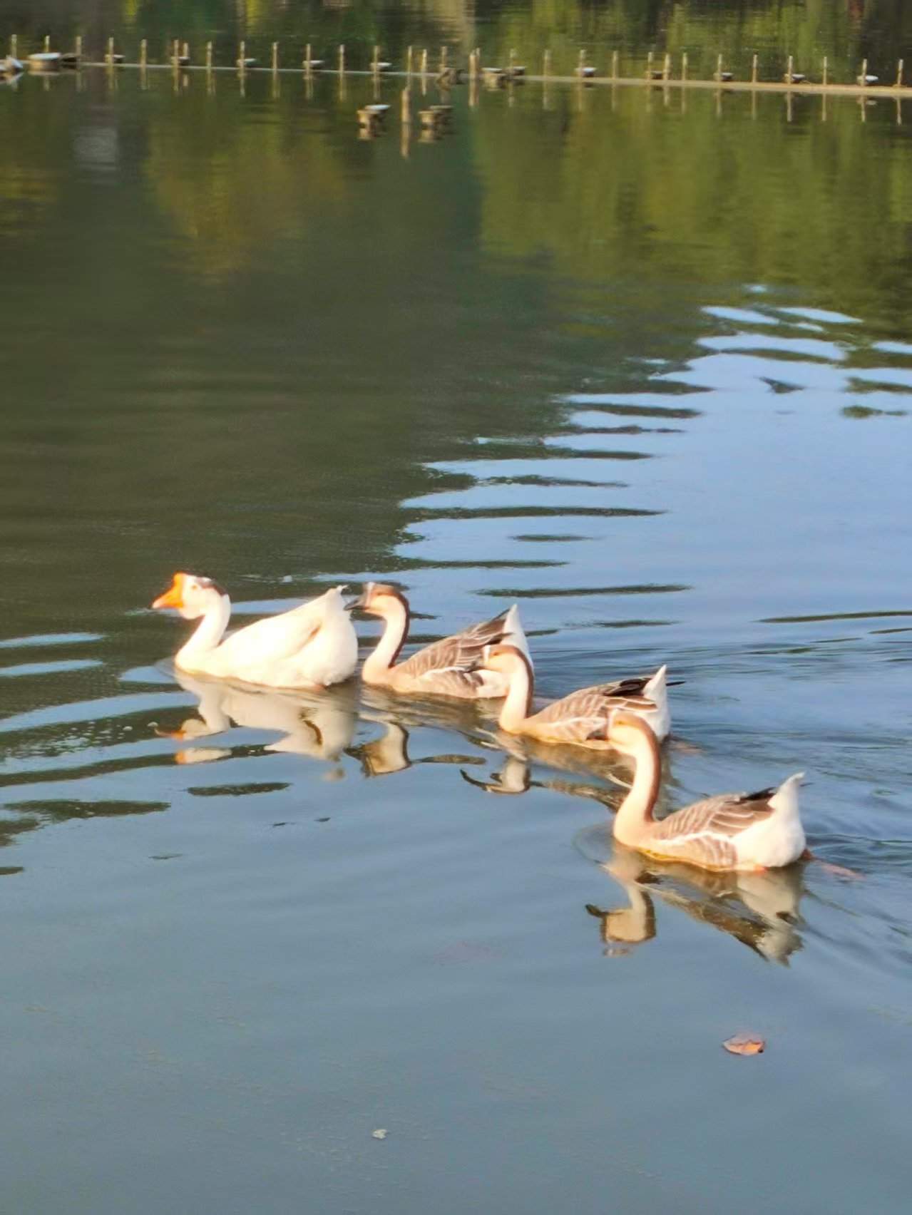 Copyright © 2025 暴雨