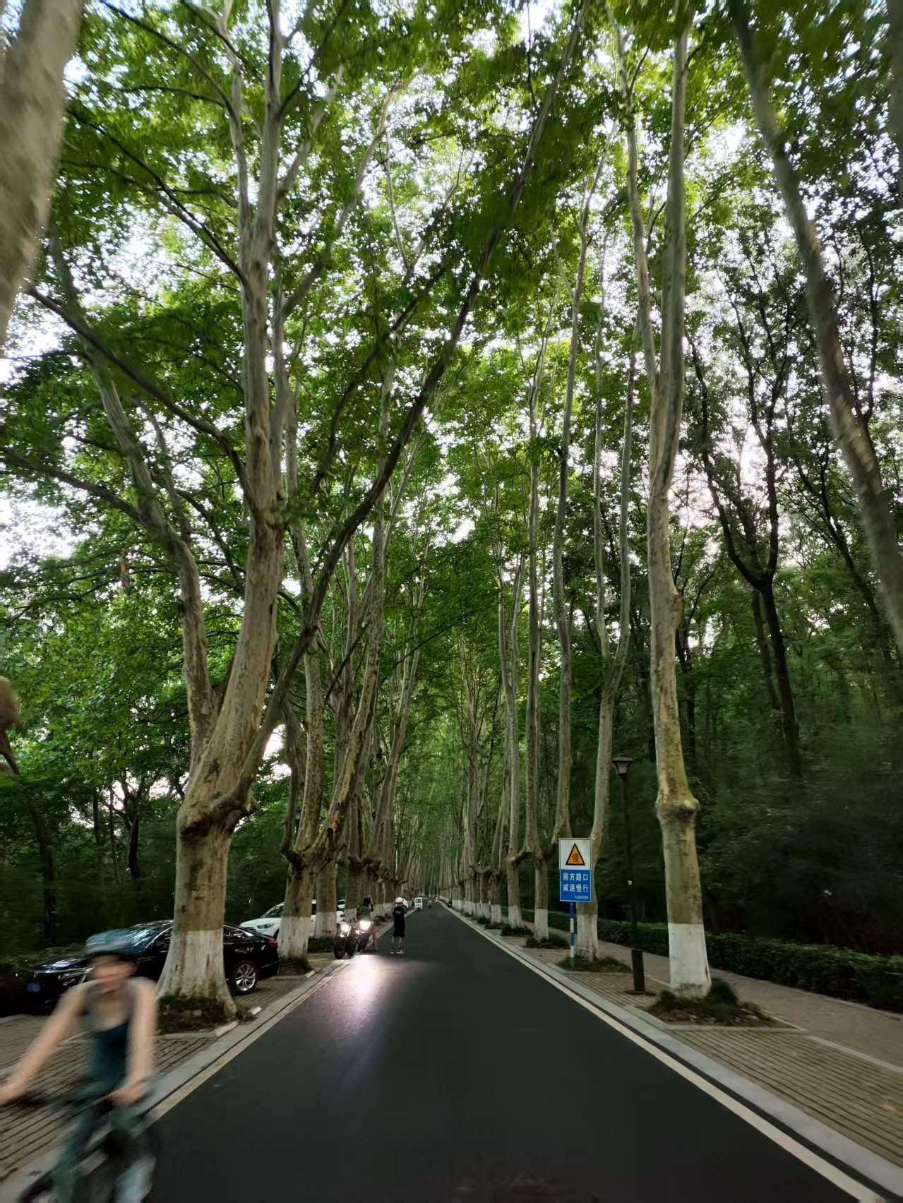 Copyright © 2025 暴雨