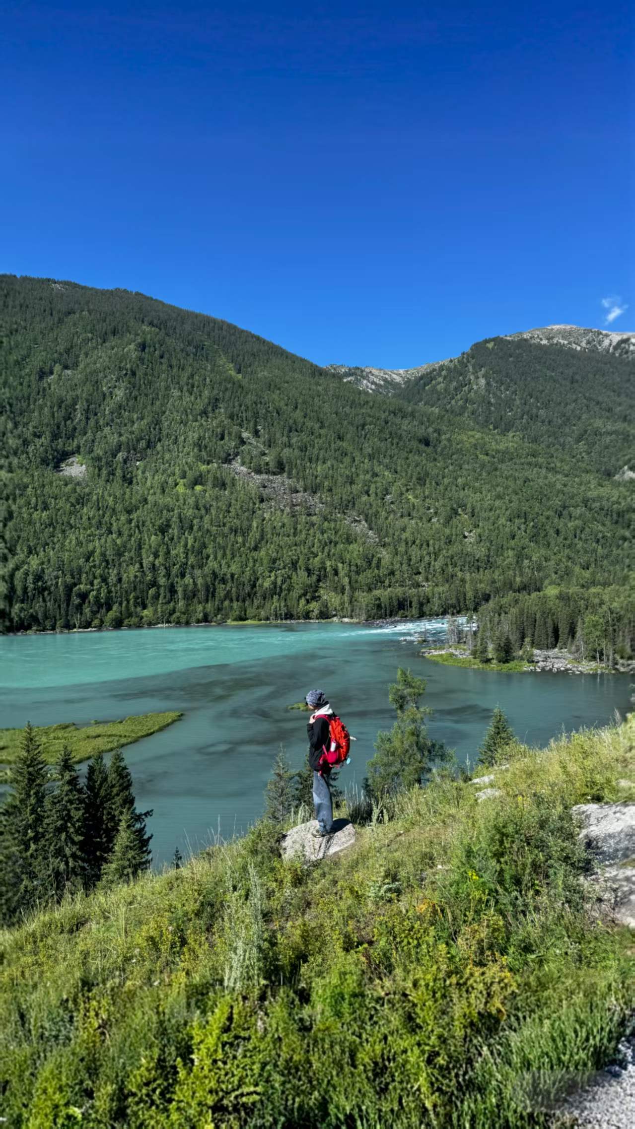 Copyright © 2025 暴雨