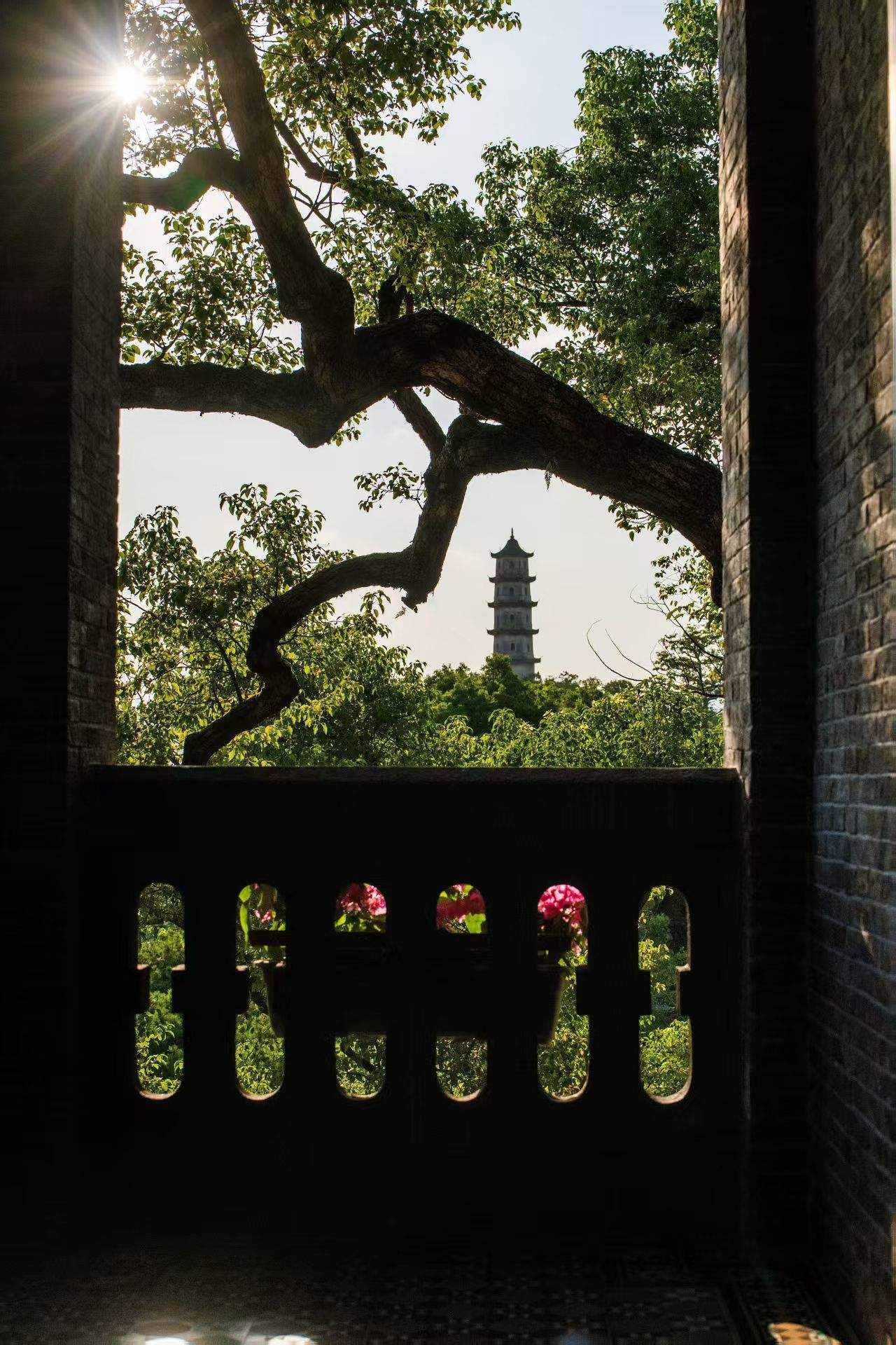 Copyright © 2025 陈辰