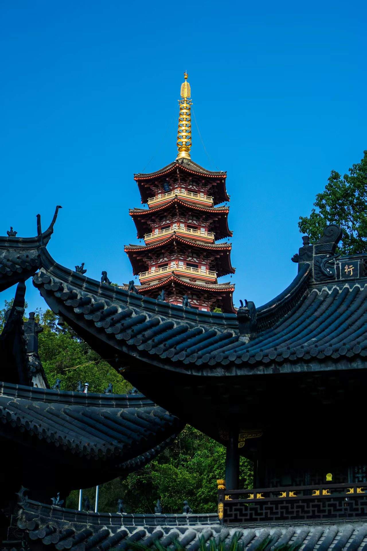 Copyright © 2025 陈辰