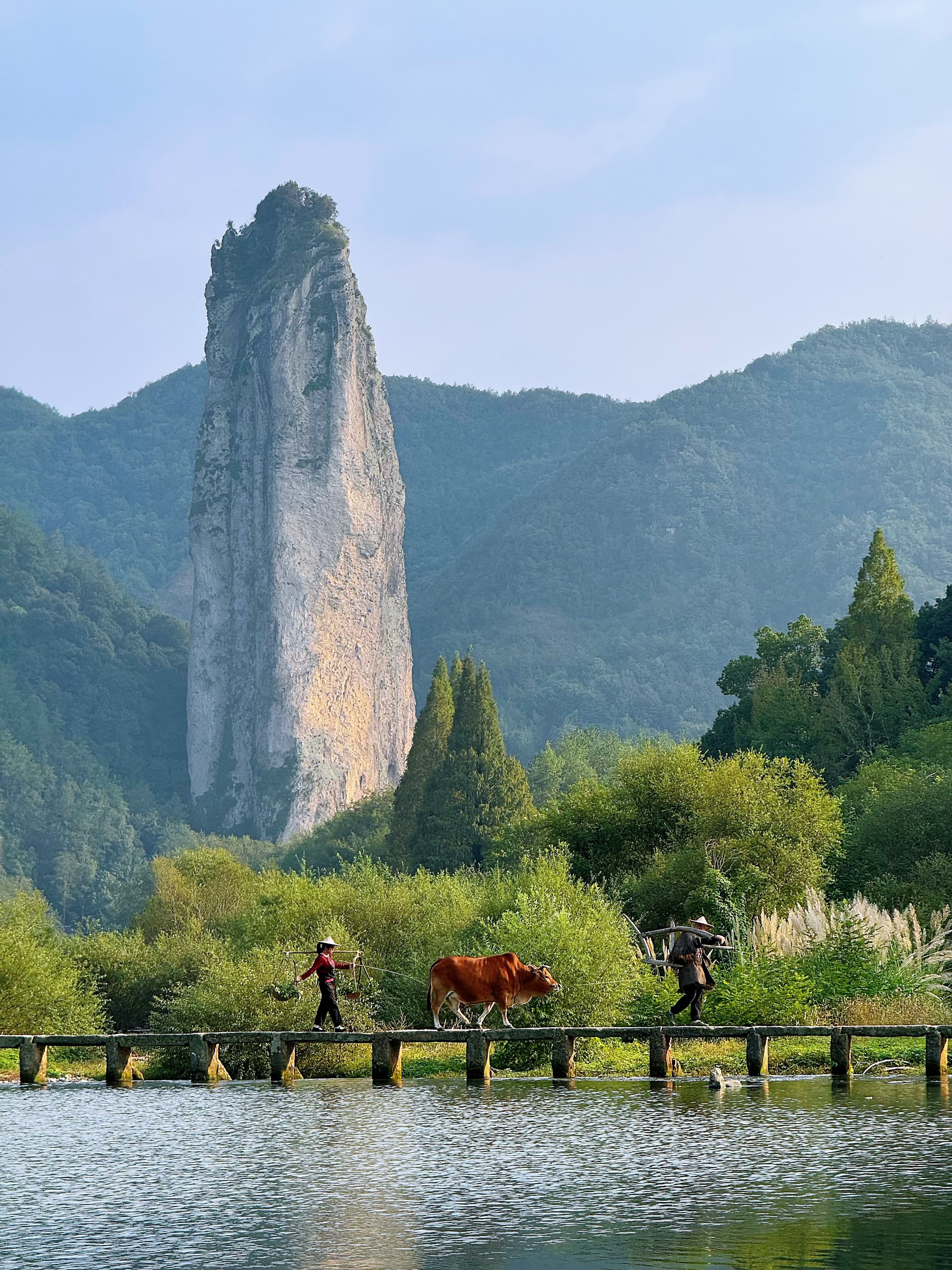 Copyright © 2025 张小铄